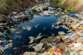 Prof. Dr. Ünüsandan mikroplastik uyarısı: Bitki bazlı çözümler umut veriyor ancak...