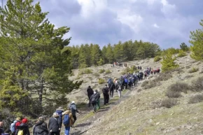 Başkentliler Şahinler Tabiat Parkında doğayla buluştu
