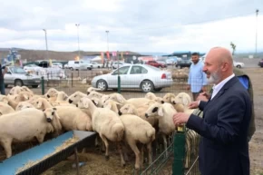 Kayseri Kocasinandan Türkiyeye örnek kurban ihalesi