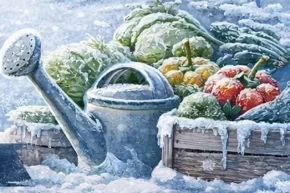 Kocaelide üreticilere zirai don uyarısı