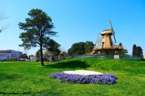 Sakaryada baharın büyüleyici cümbüşü