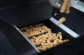 Eskişehirde atık yemekler mama oluyor