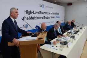 Bakan Bolat Brükselde yuvarlak masada konuştu