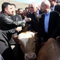 "Bir Allah'ın kulu şikayet etmiyor"