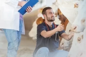 Denizli Büyükşehirden üreticiye sahada destek