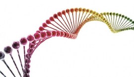 Biyoteknoloji istatistikleri, 2018