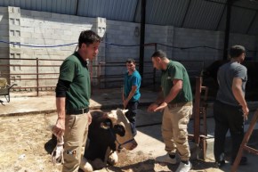 Gaziantepte kurban avcılarından üstün performans