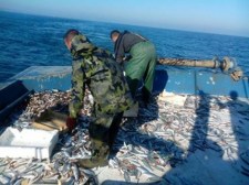 Rastgele-3 doldu, taştı..